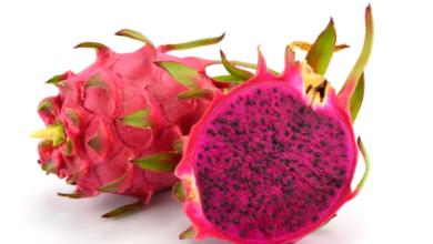 Dragon:0pscnhnpgcy= Fruit
