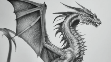 Dragon:5z_Boyjkm98= Draw