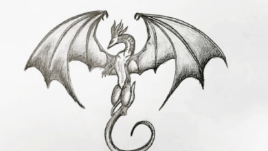 Dragon:8otn5y1py0g= Drawings