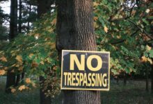 privacy enforcement taskforce contacts