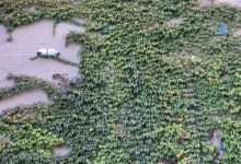 security monitoring contact numbers