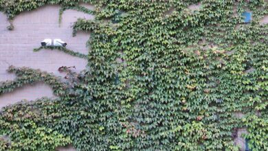 security monitoring contact numbers