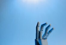 innovation and growth prospects