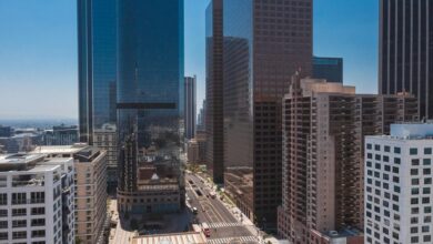 innovation and market strategies