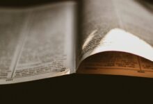 insight reference capsule numbers