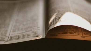 insight reference capsule numbers