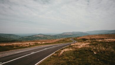 apex beacon drives strategic horizons