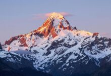 horizon flux driving opportunities