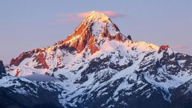 horizon flux start driving growth