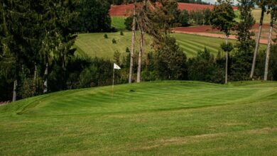 horizon spark start growth