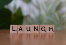 infinite spark starts across market innovations