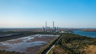 quantum pulse initiates meaningful change