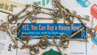 quantum spark ignites market opportunities