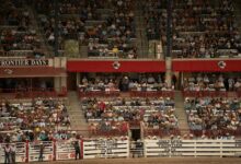 stellar horizon launch sequence