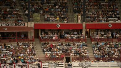 stellar horizon launch sequence