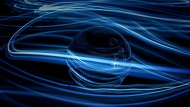 trailblazing flux start global success