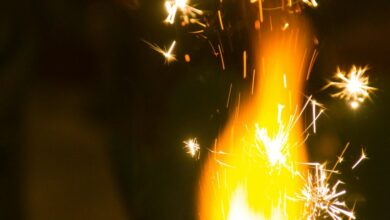 visionary radiance across ventures