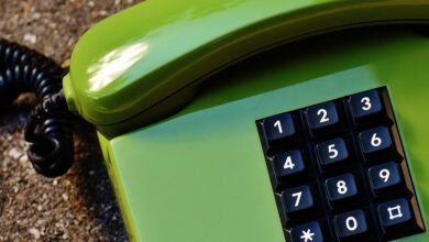 phone lookup insight start