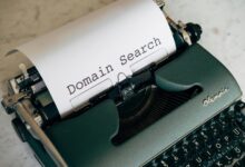 website information hub domain insights