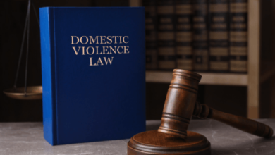 Domestic Violence Lawyer Protecting Rights and Building a Safer Future