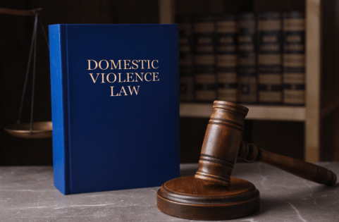 Domestic Violence Lawyer Protecting Rights and Building a Safer Future