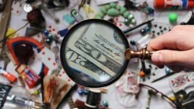 access verified registry findings for ids