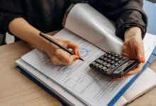 check numbers verification reports