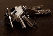inspect registry ids for specific entries