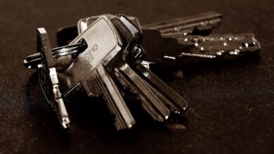 inspect registry ids for specific entries