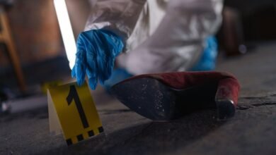 number registry evidence for specific ids