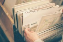 public record references tracked for multiple ids