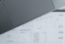 public registry reports ids search results