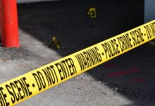 registry entries reveal multiple investigations