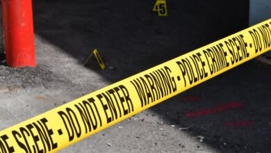 registry entries reveal multiple investigations