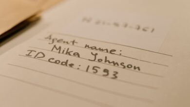review identity lookup records for several numbers