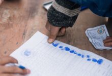 study registry verification reports ids listed
