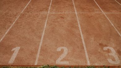 track public numbers registry