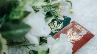 track public registry evidence for given ids